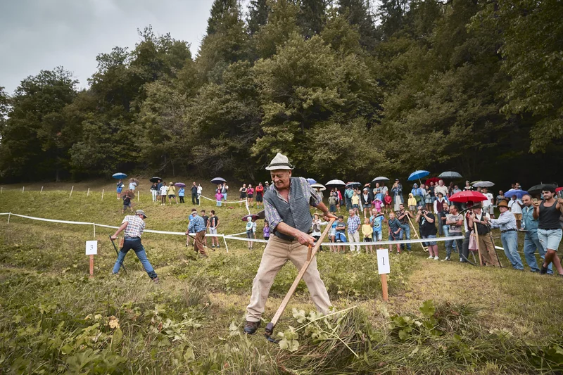 Festa Agricoltura Caderzone Terme 7S8653