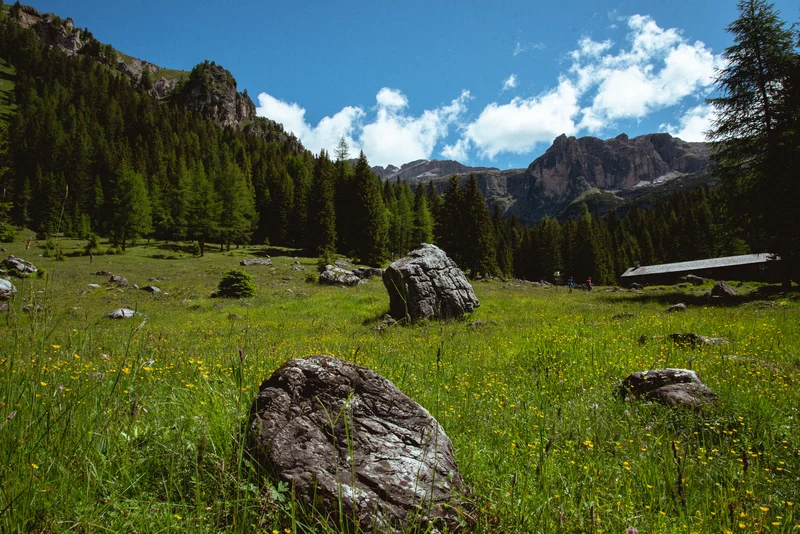 Malga Vallesinella Alta