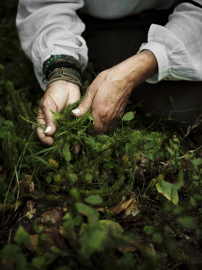 Foraging