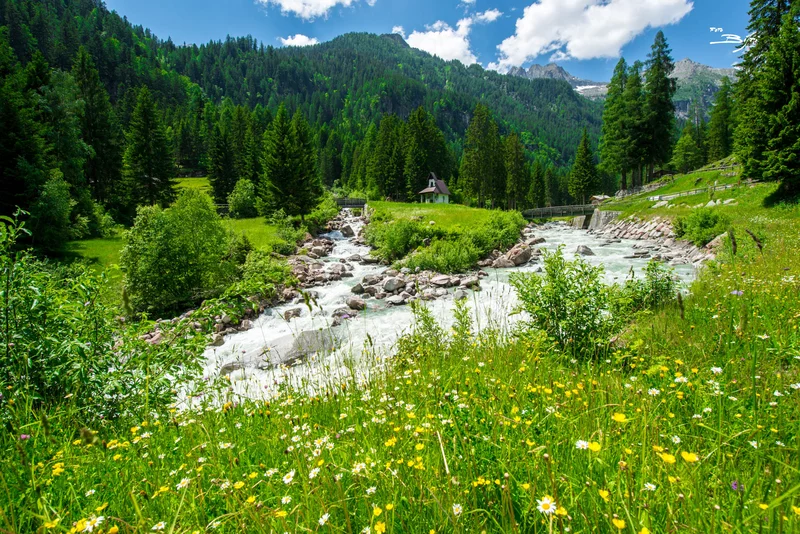 The Park valleys