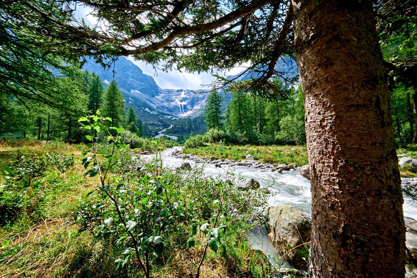 Sarca River Park