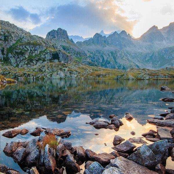 top nature