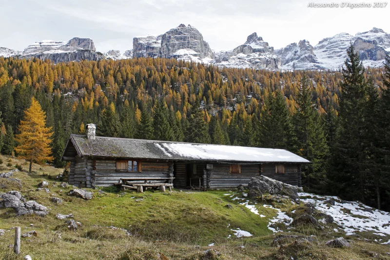 Alessandra DAgostino   Malga Vallesinella Alta Autunno   3480