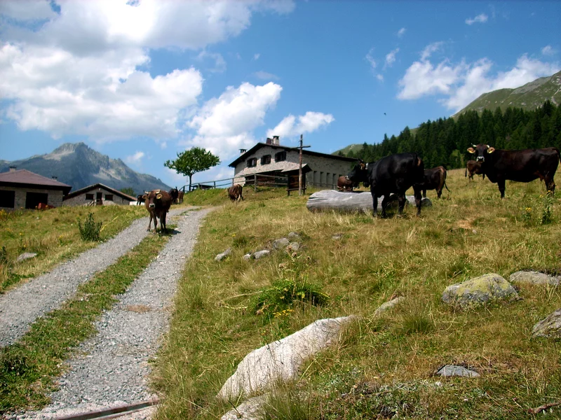 Malghe Malga Stabolone Sopra