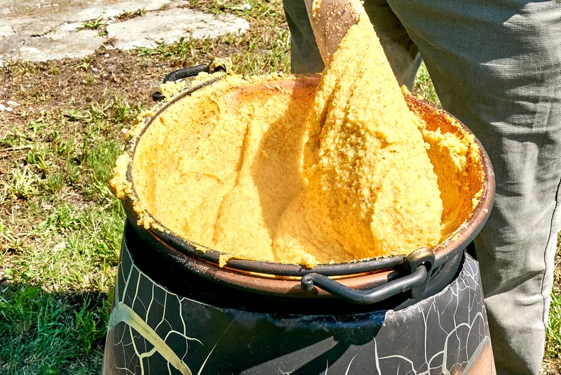 Polenta BI902947