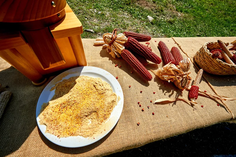 Polenta BI902524