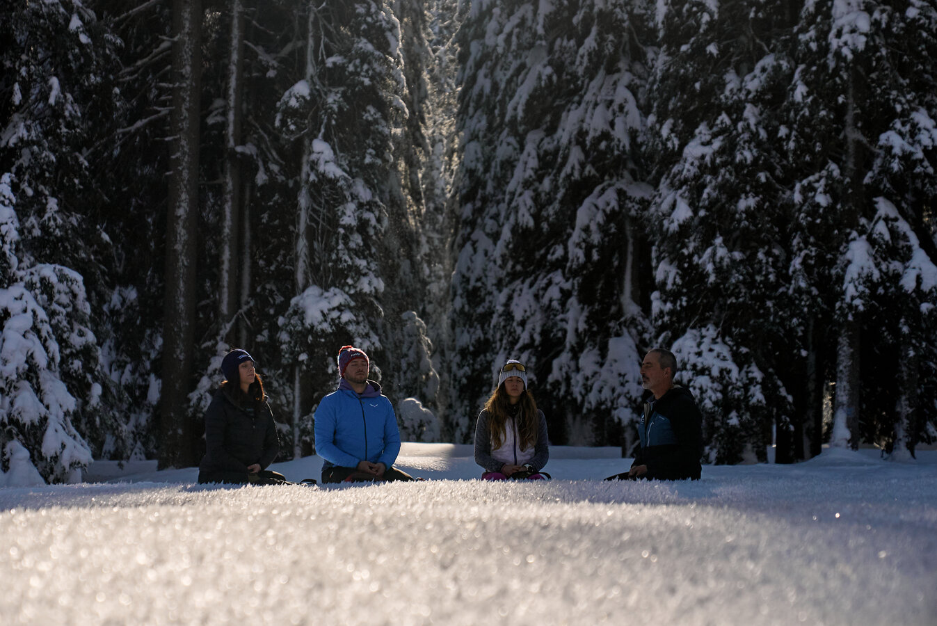Five people meditate peacefully in a snowy clearing, bathed in sunlight.