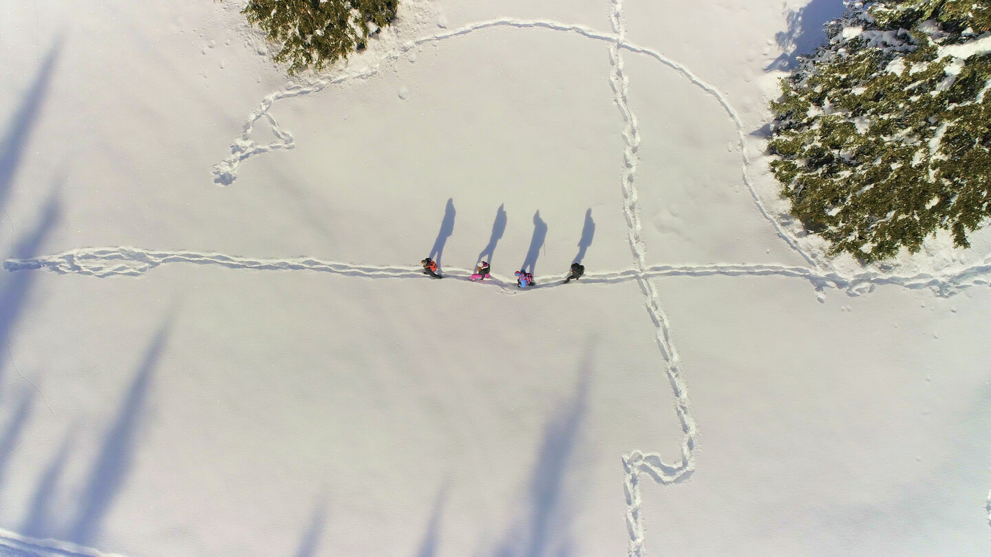 People walking on snow with long shadows and visible footprints