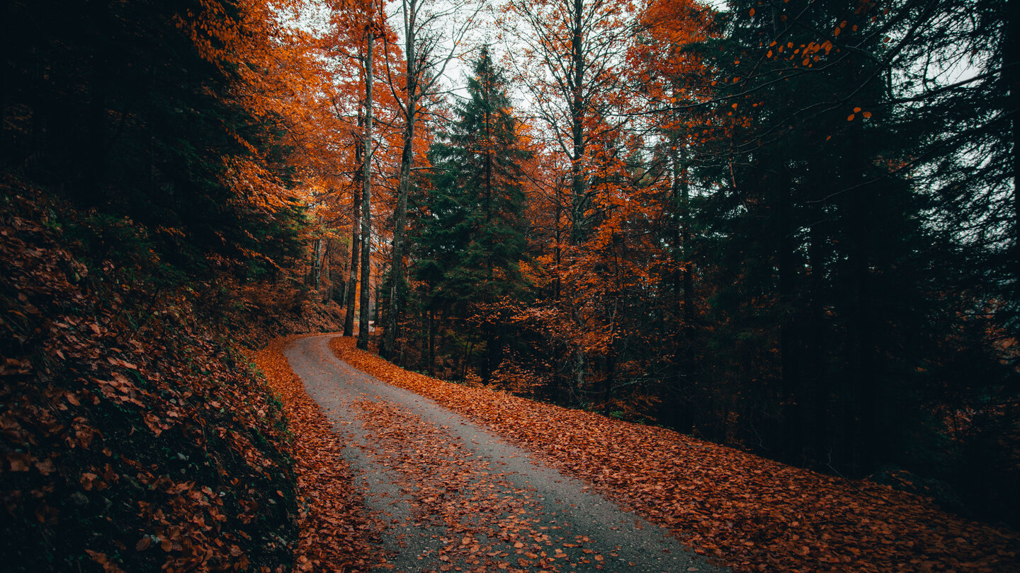 Herbstmobilität