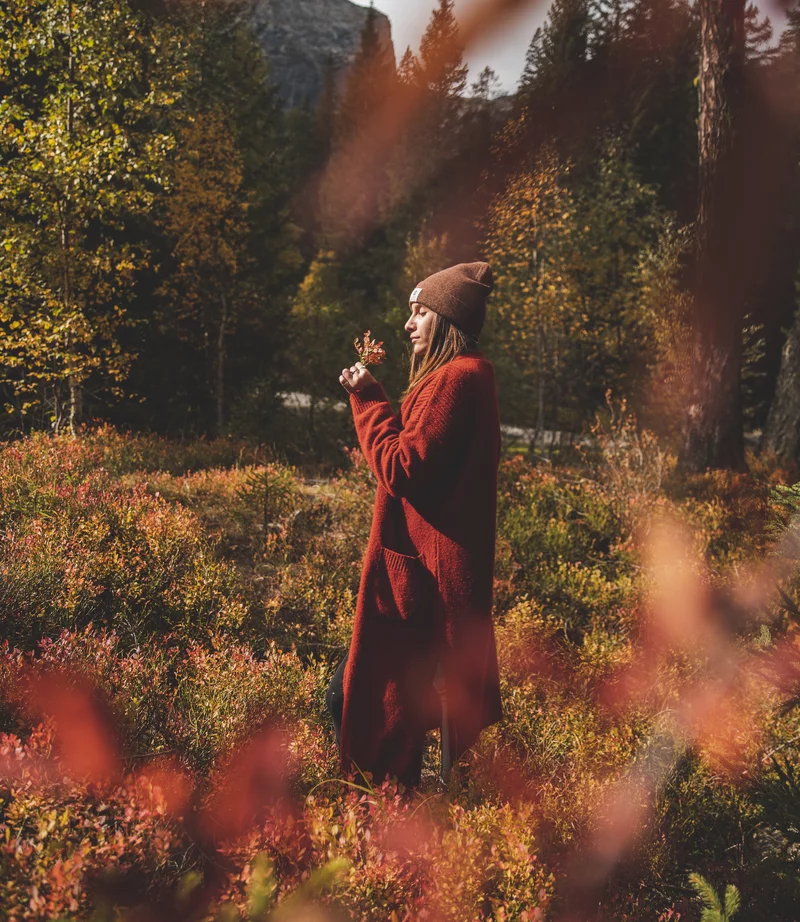 Live the silence of the forest
