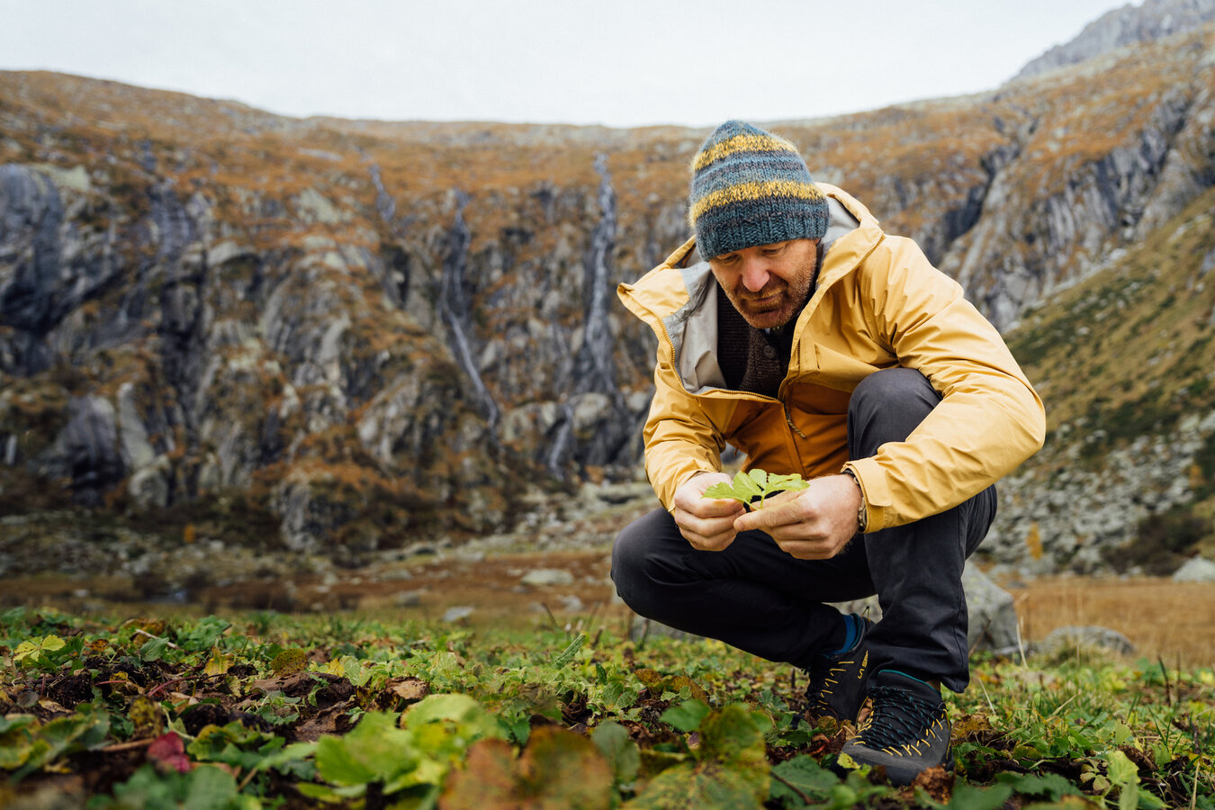 Gastronomy And Discovery
