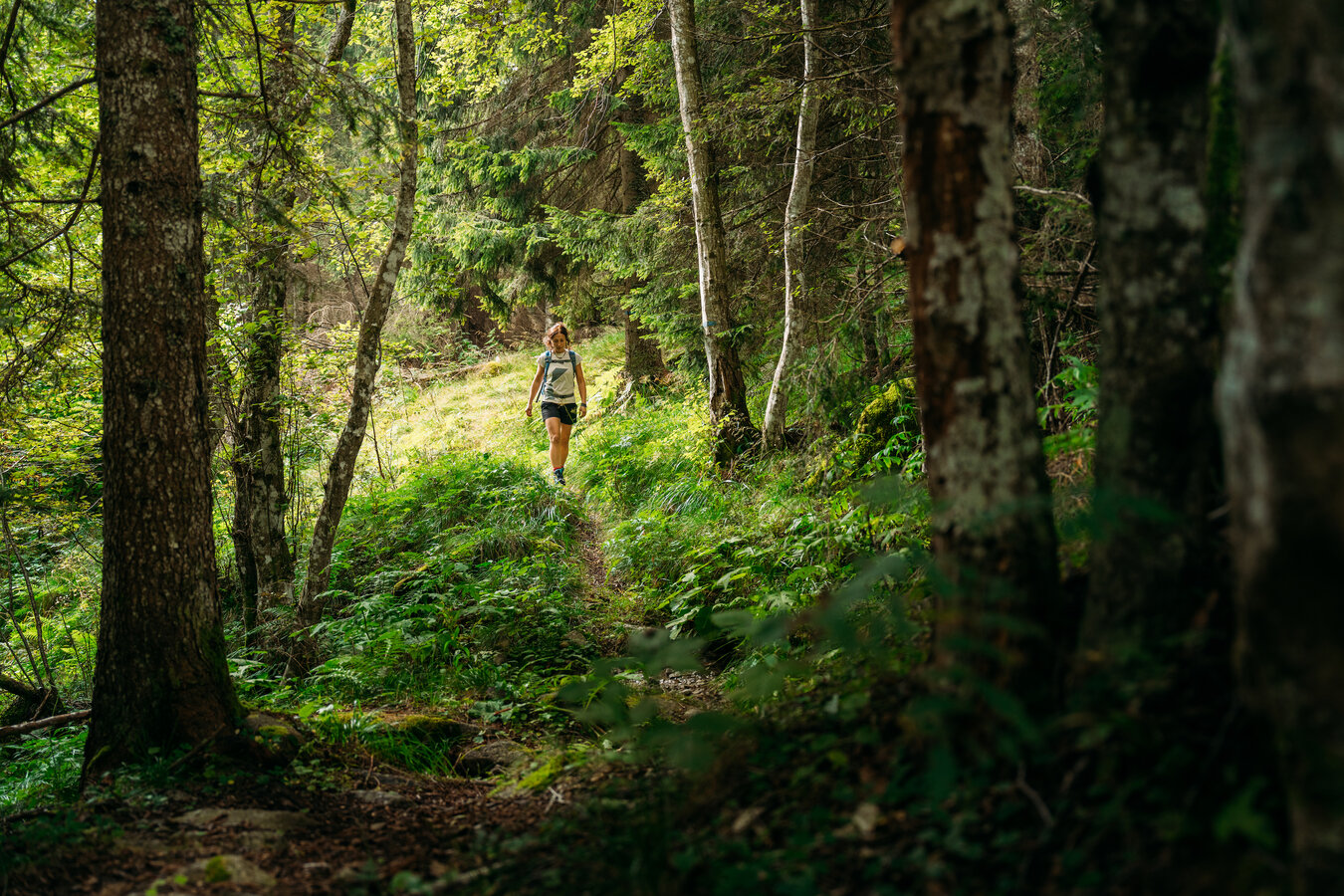 Nature And Discovery