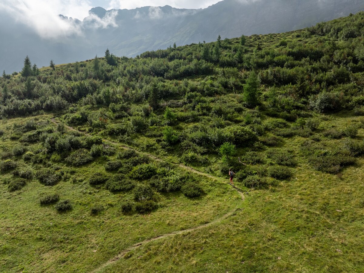 Val D'Arnò