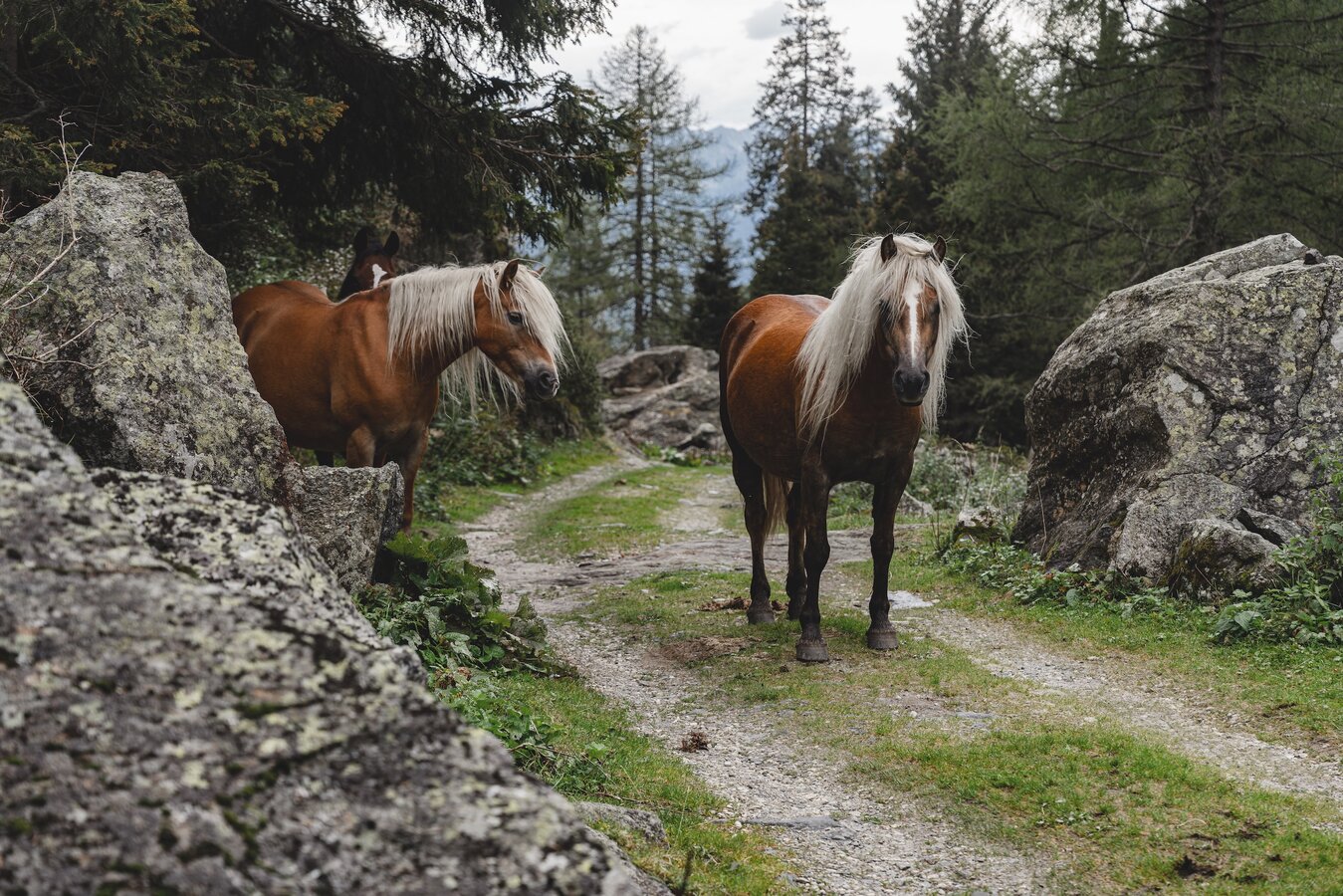 Val Di Trivena