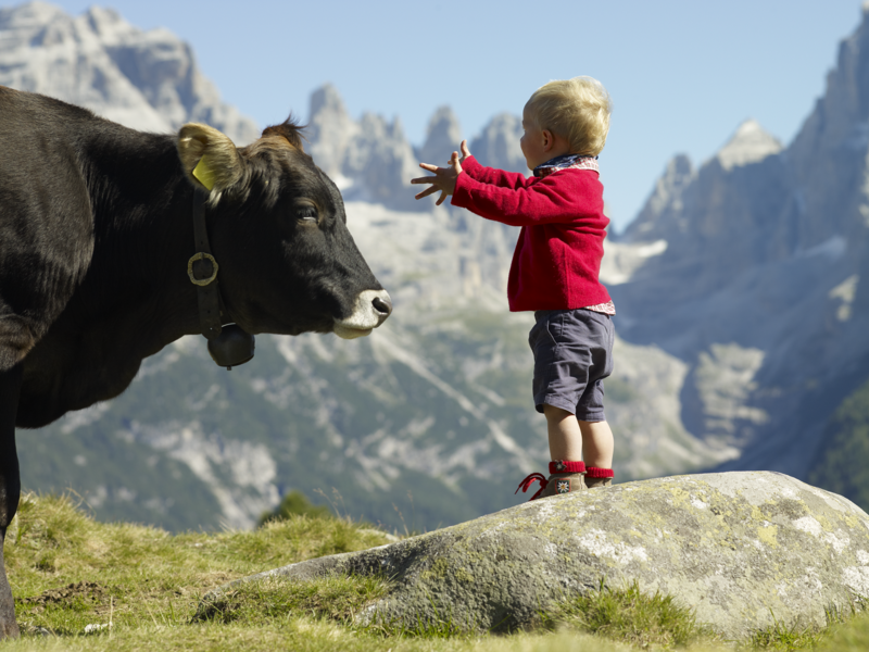 Mountain child. Горы для детей. Малыш в горах. Детям о горе. Мама с ребенком в горах.