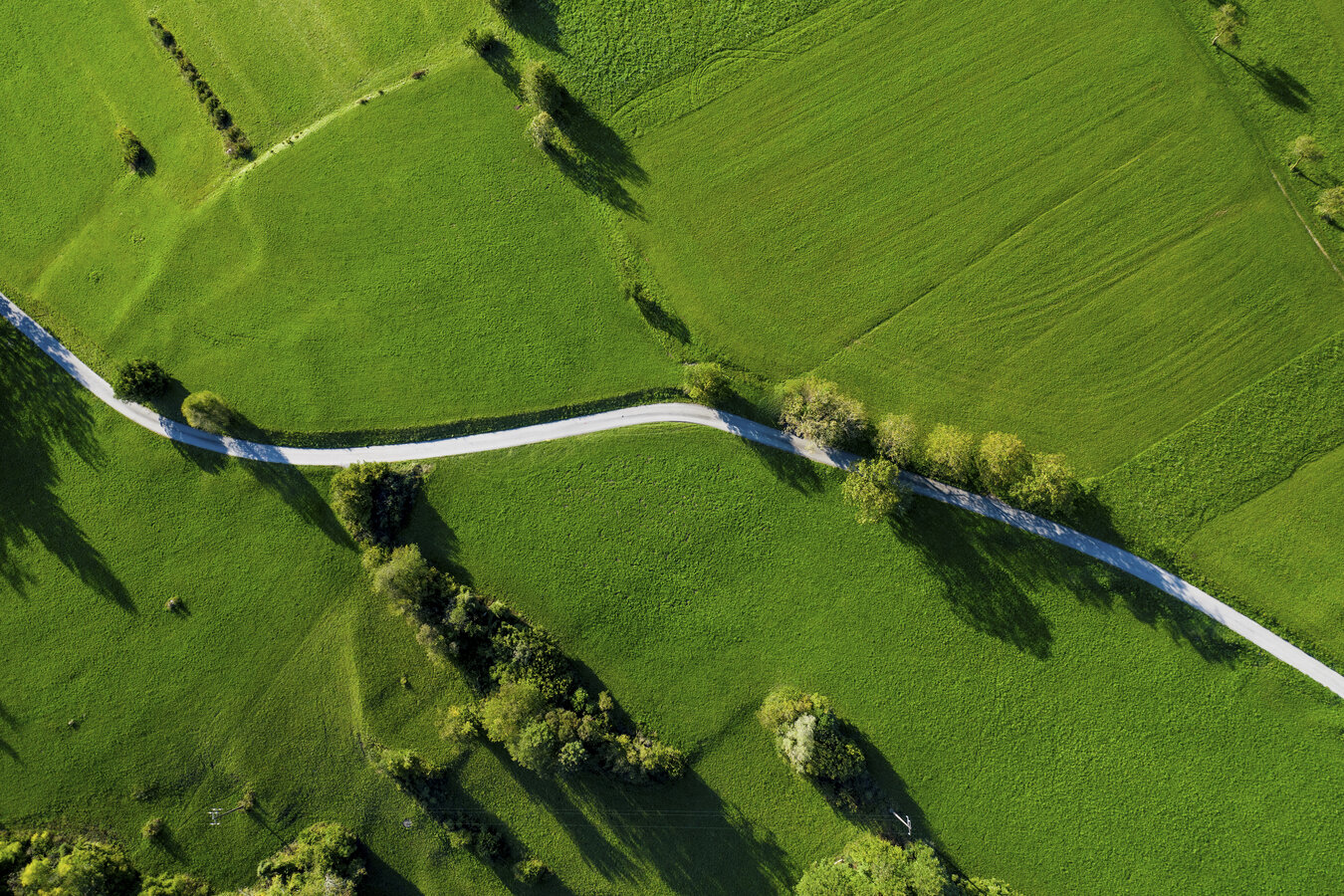 Trasporti accessibili