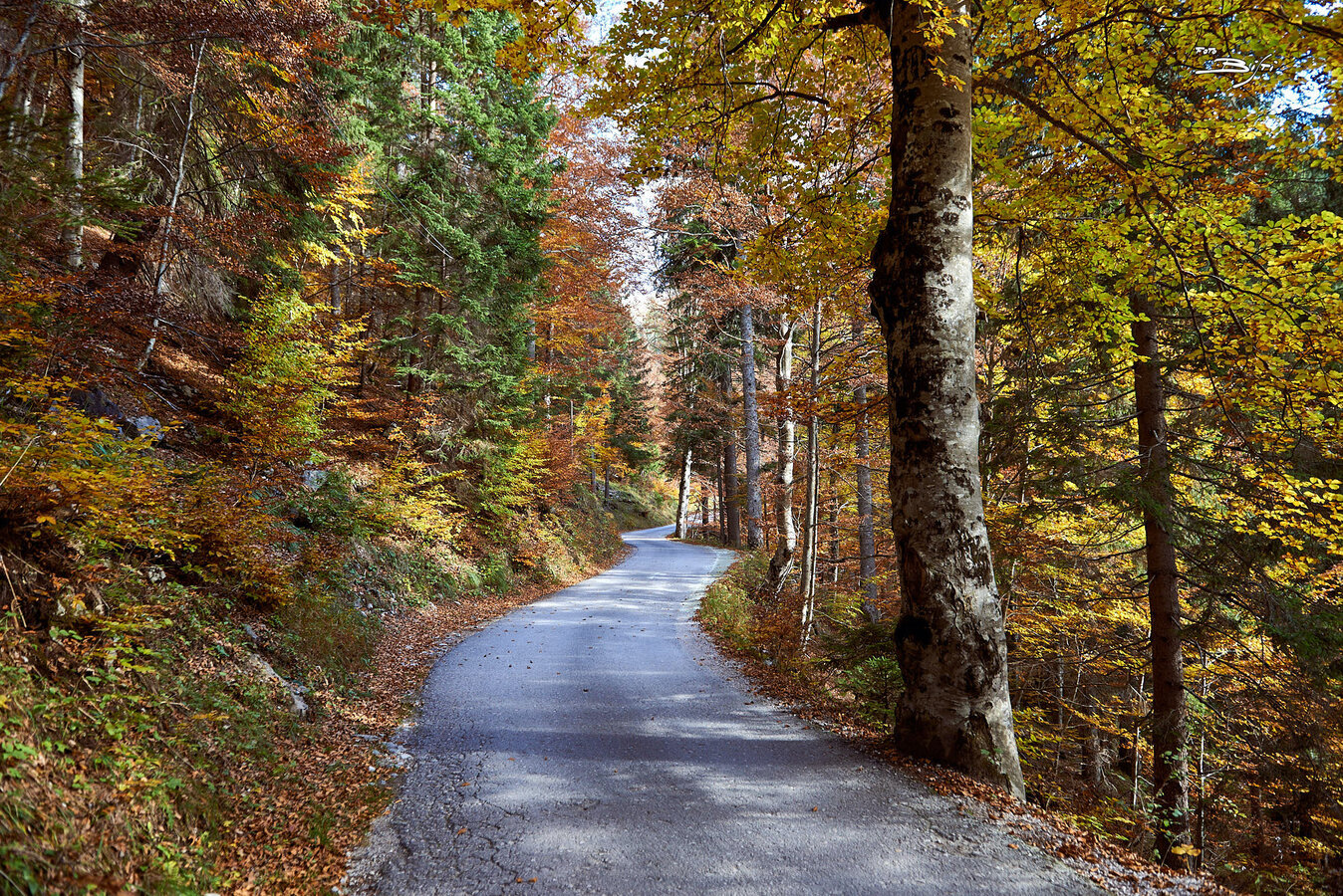 Vallesinella DSC 8623 Vallesinella DSC 8623