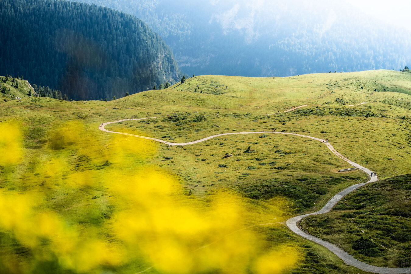 Monte Spinale