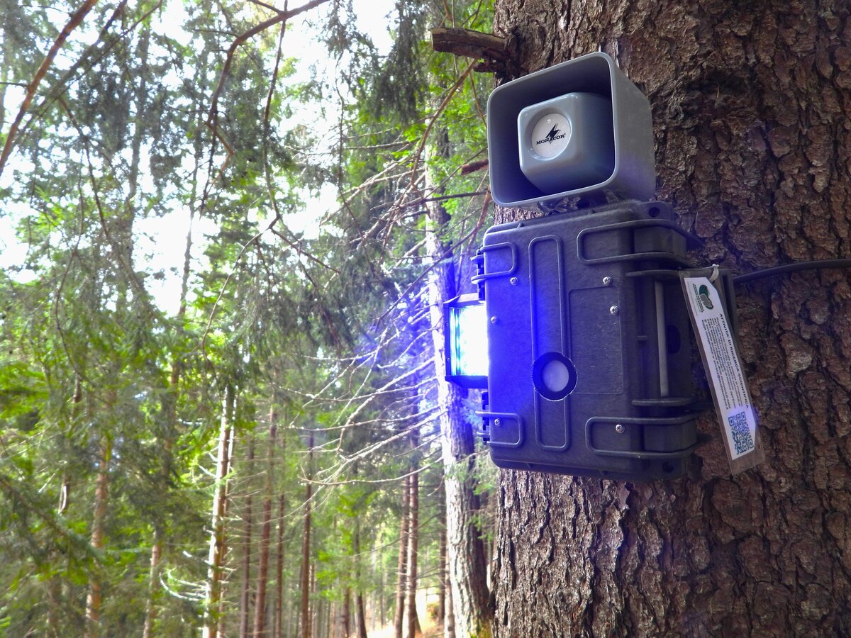 Dissuasori acustici e luminosi