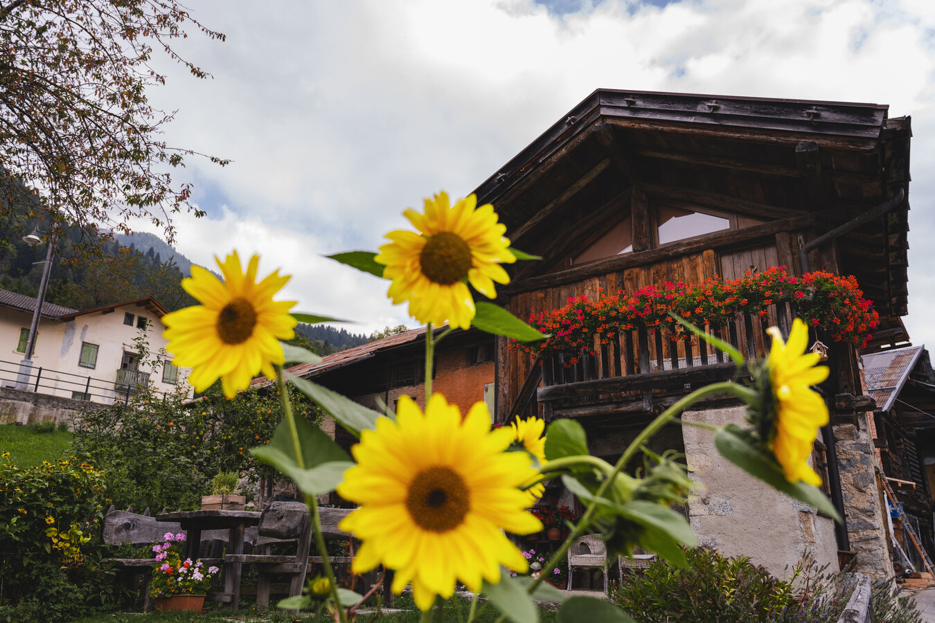 B&B di qualità