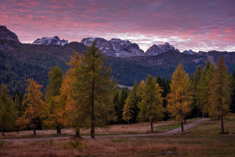 Autunno Wedding 6