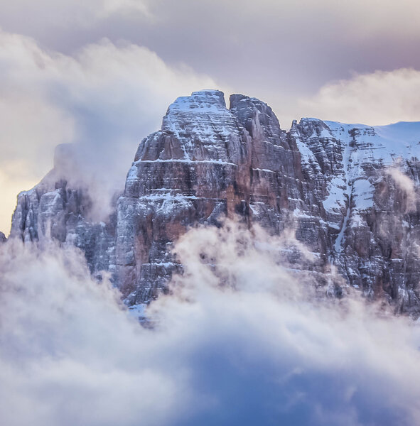 top nature