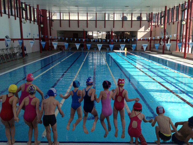 Swimming Pool In Spiazzo