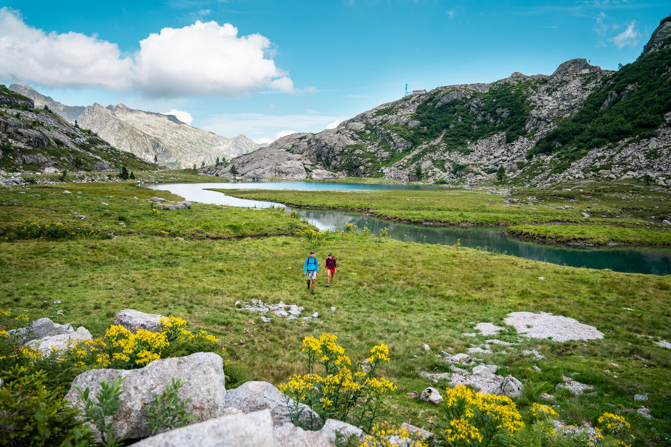 Zwei Wanderer gehen in einer grünen Berglandschaft mit See und gelben Blumen.