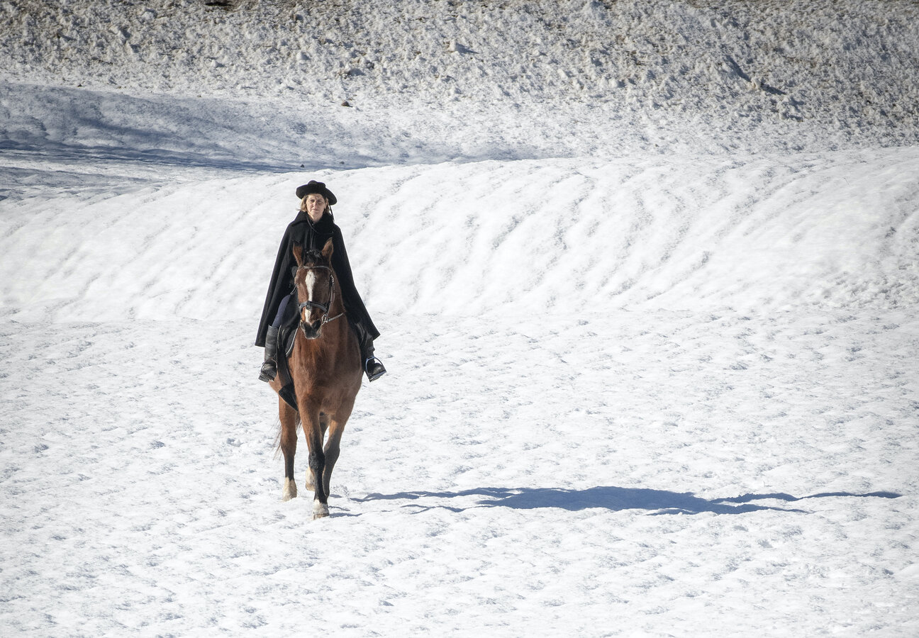 Gite a cavallo sulla neve