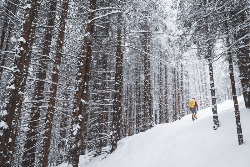 Snowshoeing In The Giudicarie Centrali