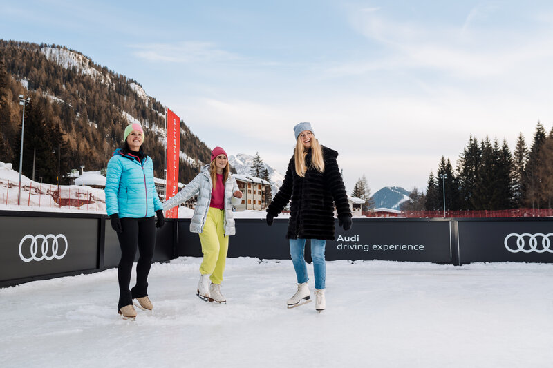 Eislaufen Am Gefrorenen See