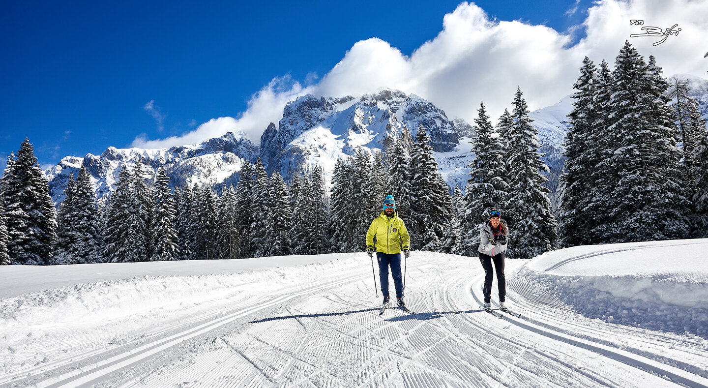 Cross Country Skiing