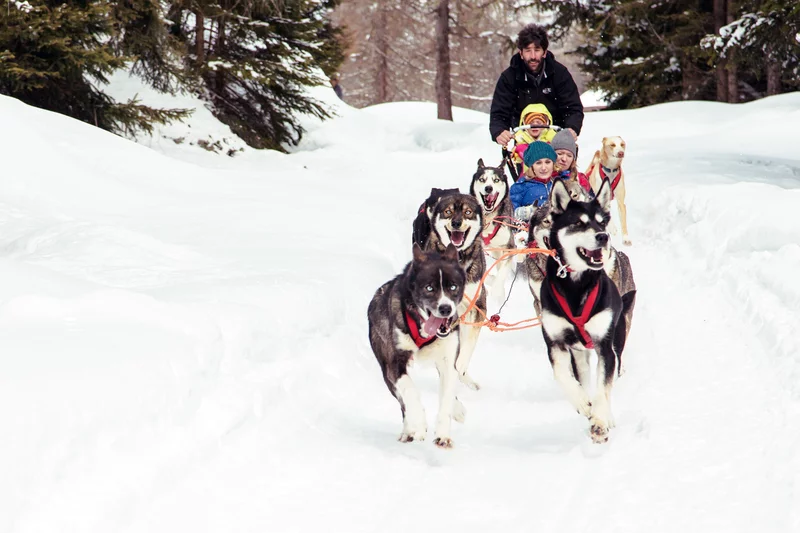 Sleddog A.Chiacchio