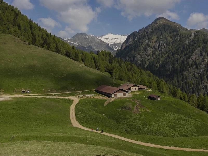 Brione3