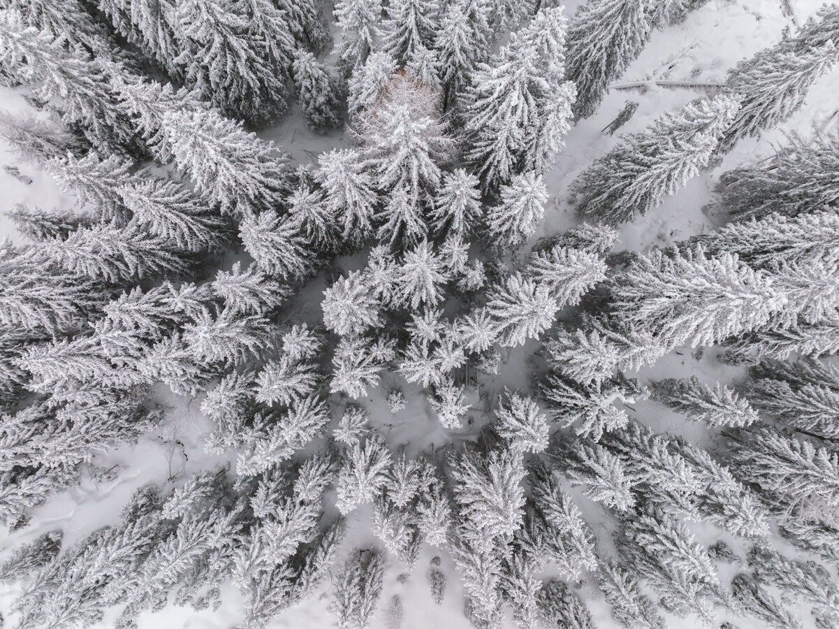 Vollständige Brochüre Zur Wintermobilität