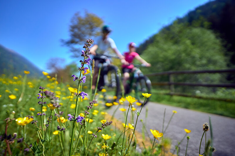 Cycle Route Through The Flowers