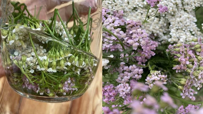Mountain in a scent