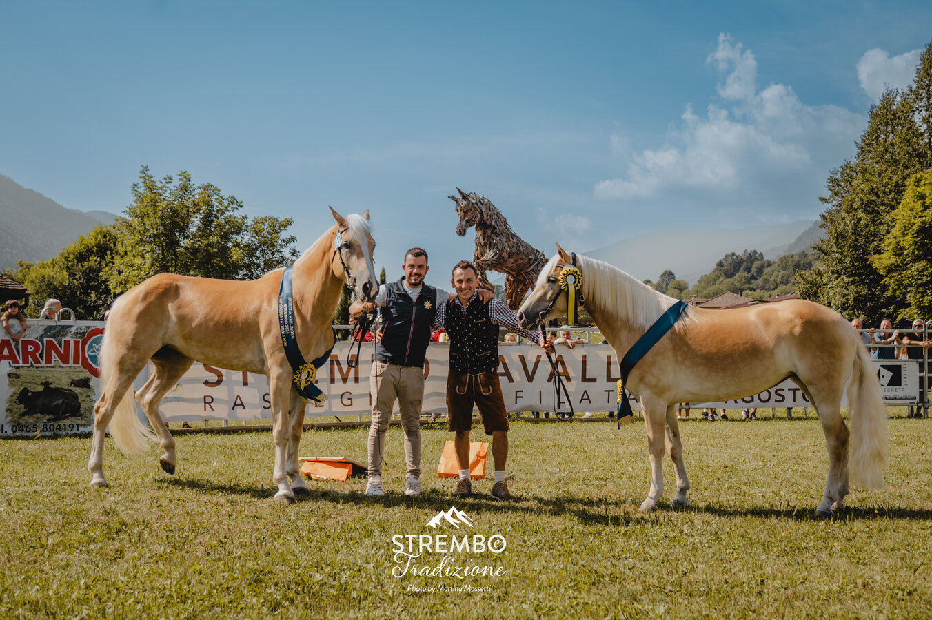 Rassegna cavalli haflinger e noriker