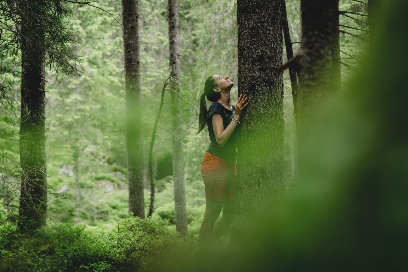 Forest embraces