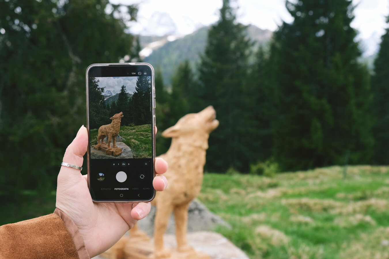 Tracce Misteriose: indovina l'Animale al Junior Park