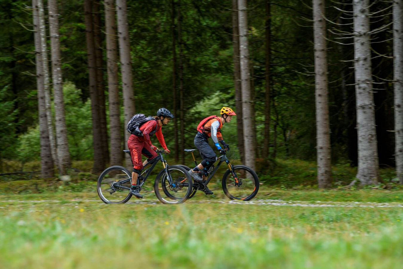 Bike and e-bike rentals