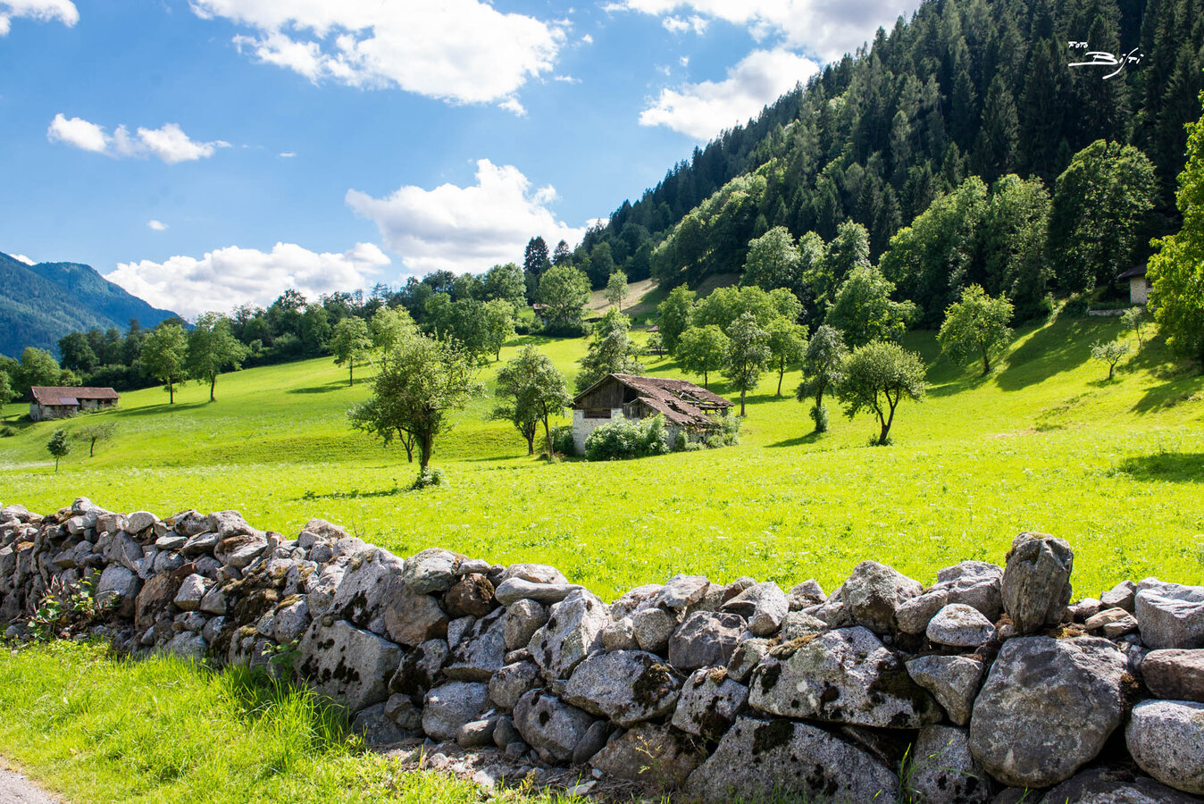 Longevity trail: Pineta – Caderzone Terme