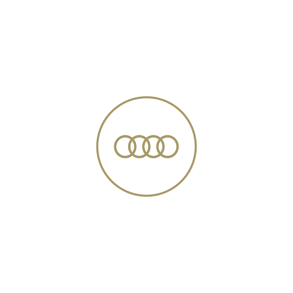 Audi driving experience Madonna di Campiglio