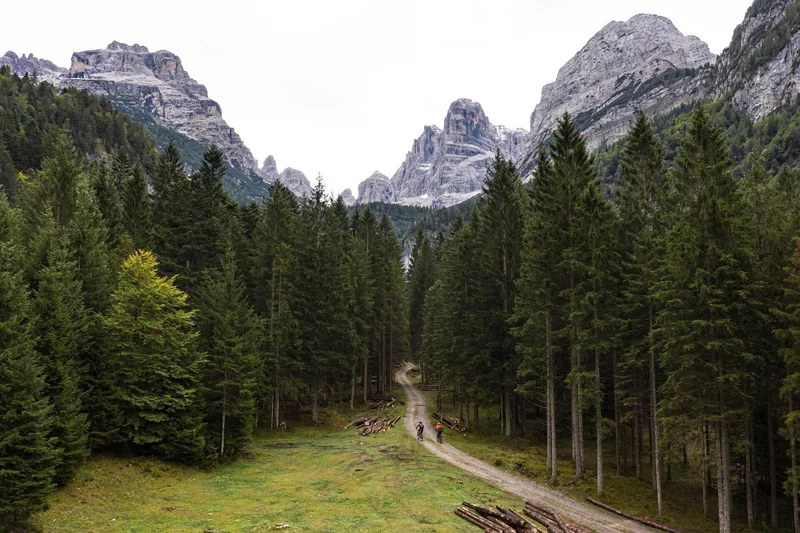 Escursione Suoni delle Dolomiti-Malga Brenta Bassa