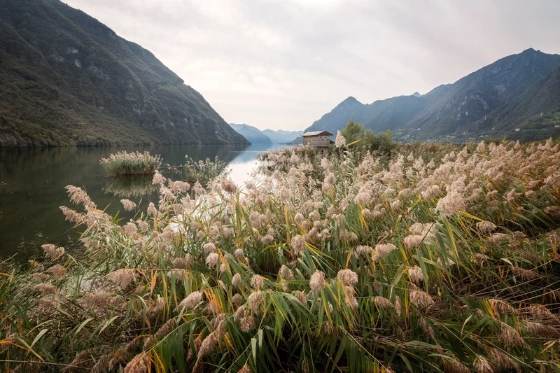 The Lake Idro Biotope, a treasure chest of biodiversity