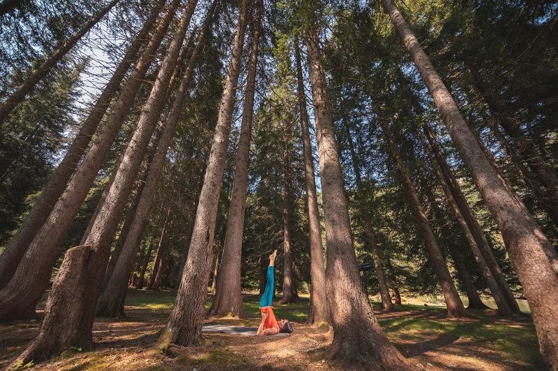 Borgo Salute Dolomiti Natural Wellness: vom Pinzolo bis Caderzone Terme