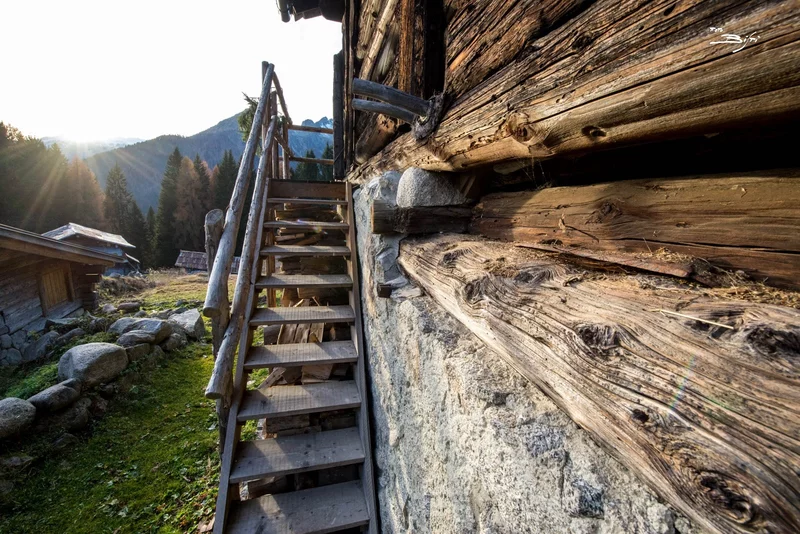 From Madonna di Campiglio to the Clemp farmhouses, fortresses of war