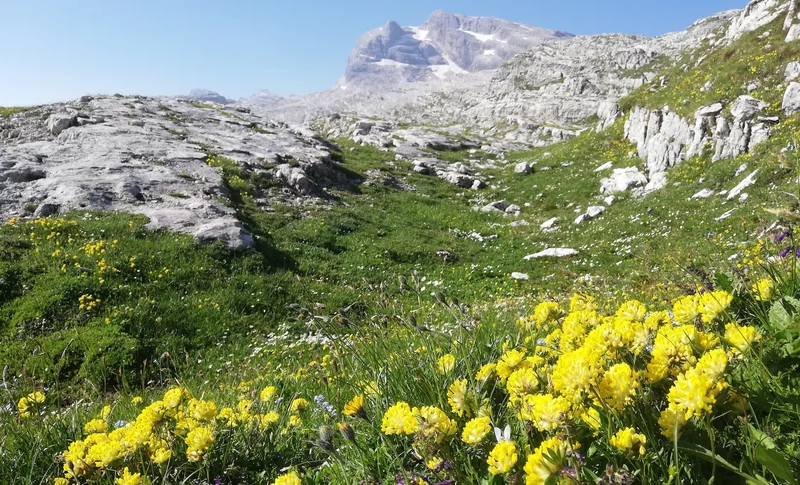 DBT Variante 10. Etappe: Malga Flavona - Rifugio Graffer