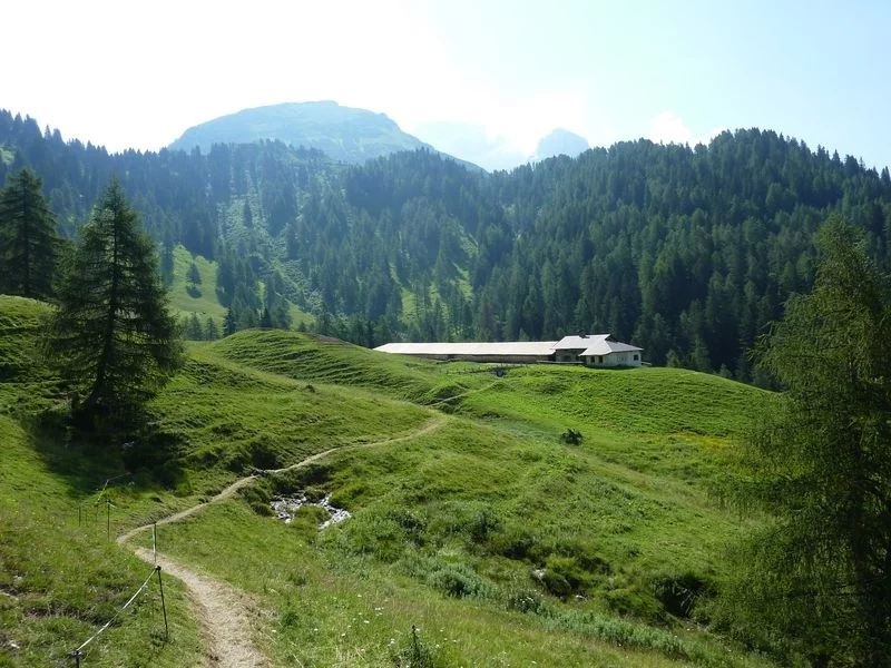Doss del Sabion – Malga Bandalors - Prarodont