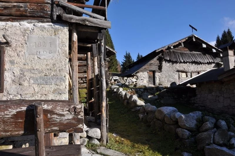 Mavignola - Claemp Mavignola - Claemp